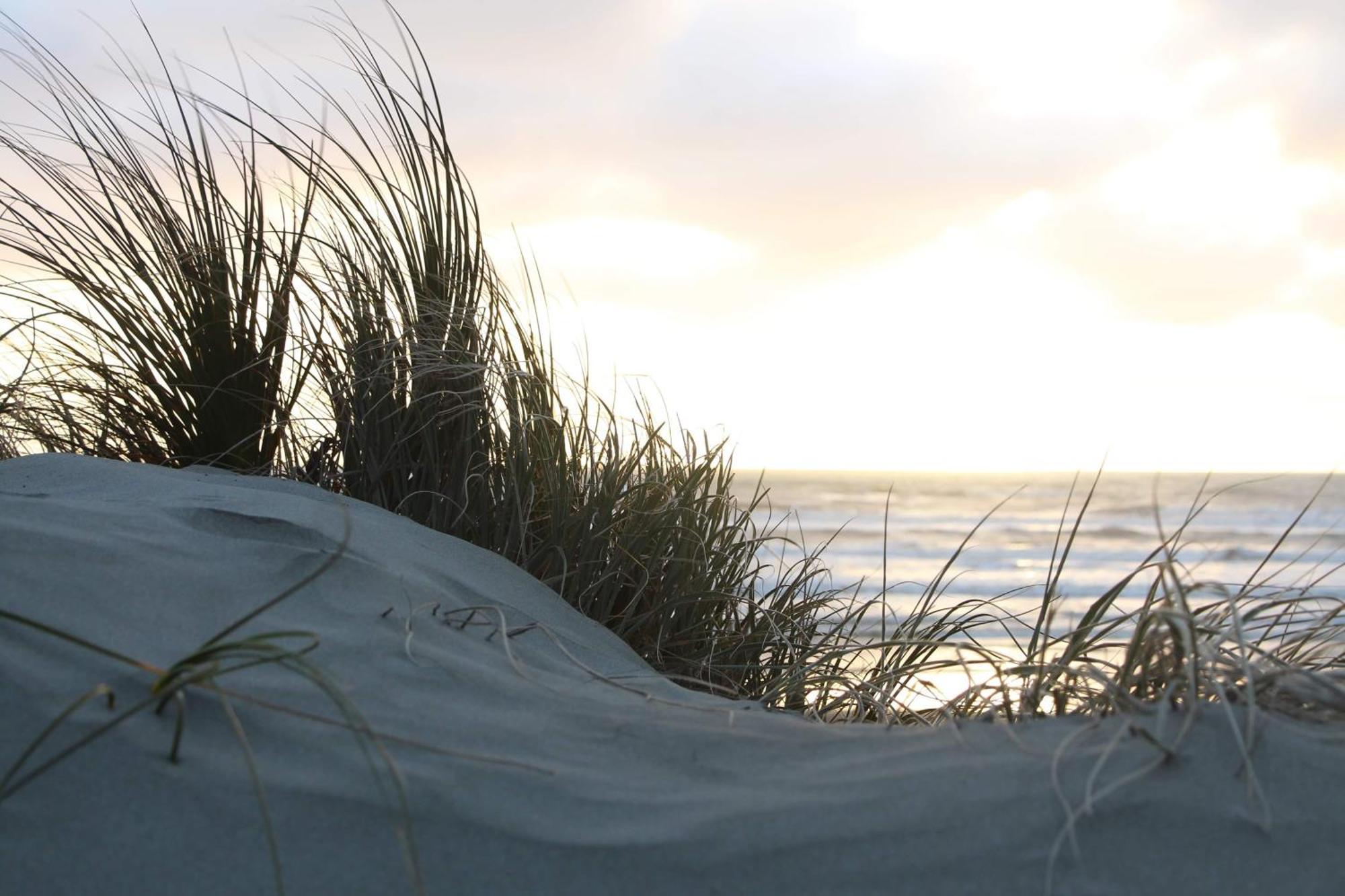 Foxton Beach Holiday Park 외부 사진